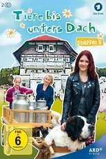Temporada 5