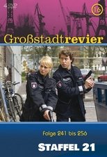 Temporada 21