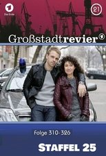 Temporada 25