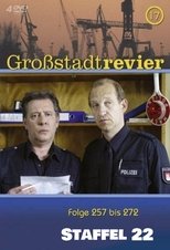 Temporada 22