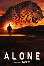 Temporada 12