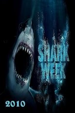 Temporada 23