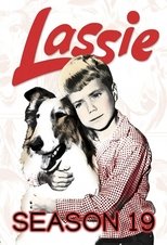 Temporada 19