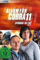 Temporada 25