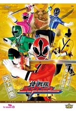 Temporada 33