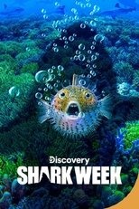 Temporada 32