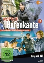 Temporada 17