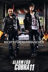 Temporada 33