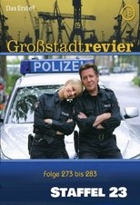 Temporada 23
