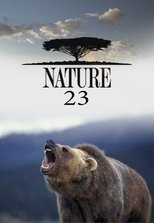 Temporada 23