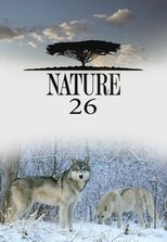 Temporada 26