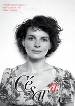 Temporada 41