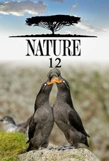 Temporada 12