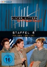 Temporada 6
