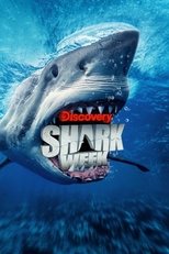 Temporada 38