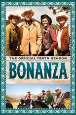 Temporada 10