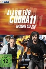 Temporada 29