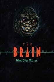 El cerebro