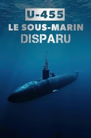 U-455 El misterio del submarino perdido