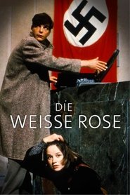 La Rosa Blanca