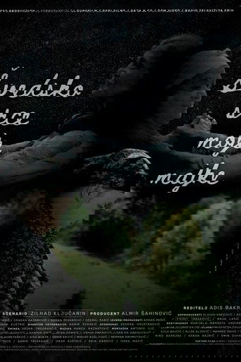 Švedsko srce moje majke