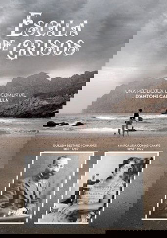 Escala de grises