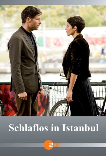 Despiertos en Estambul