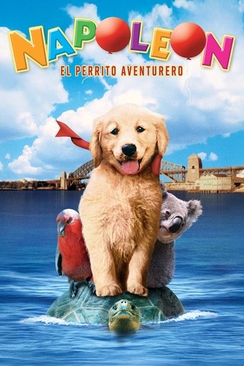 Napoleón, el perrito aventurero
