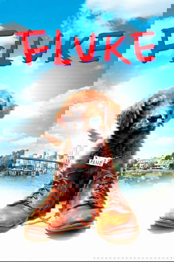 Mi amigo Fluke