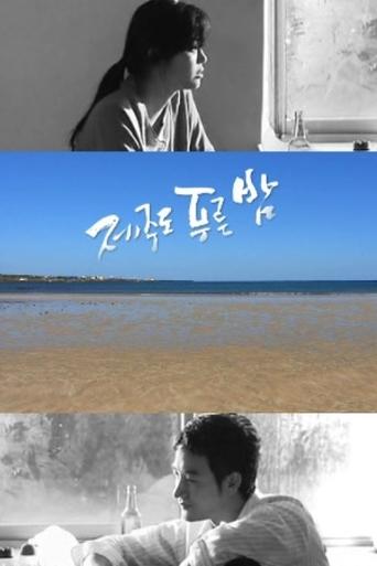 드라마 시티: 제주도 푸른밤