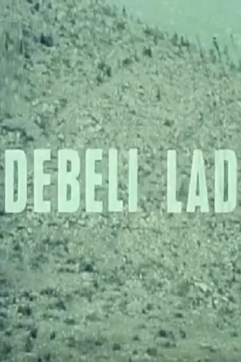Debeli lad