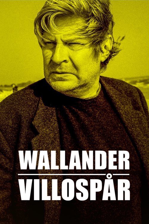 Inspector Wallander: La falsa pista