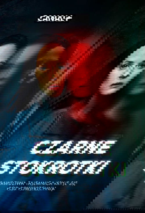 Czarne Stokrotki